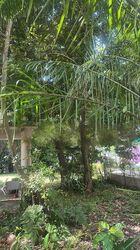 Tanjong Rhu Road (D15),  #458390771